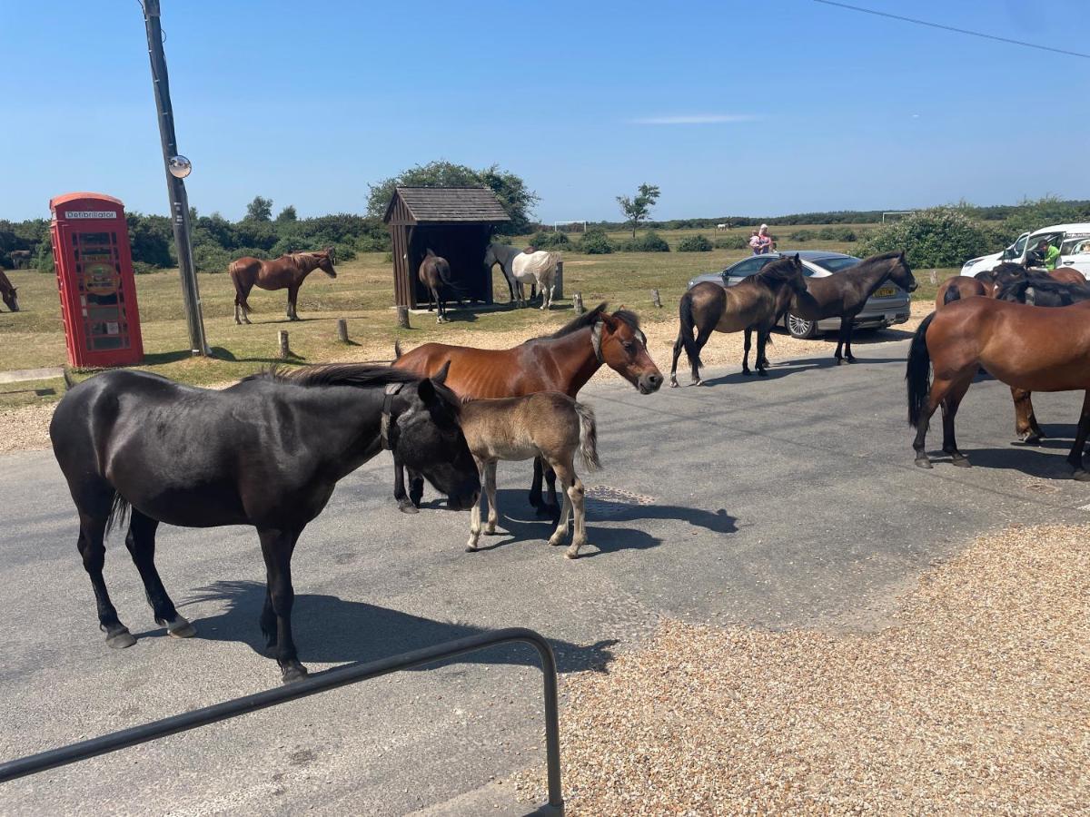 New Forest View Beaulieu Εξωτερικό φωτογραφία